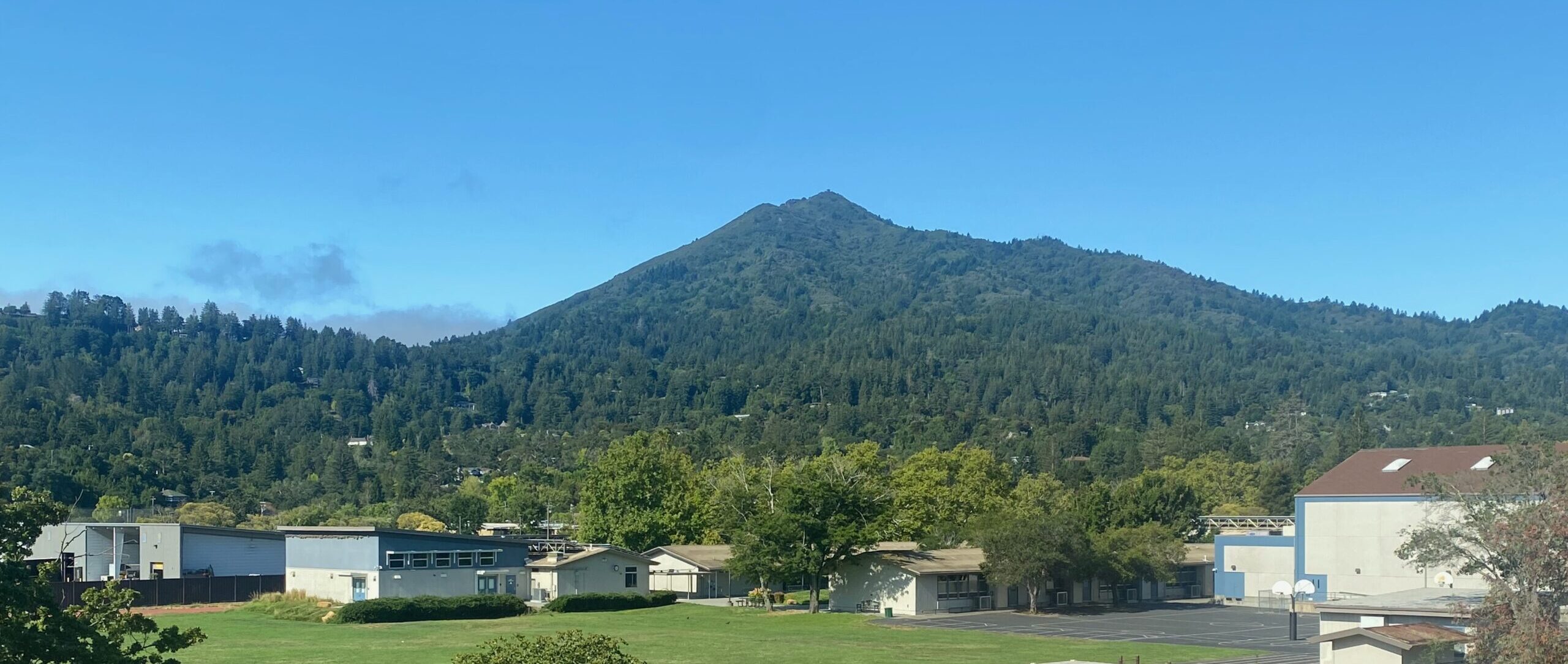 View from Parsons Tutoring Office